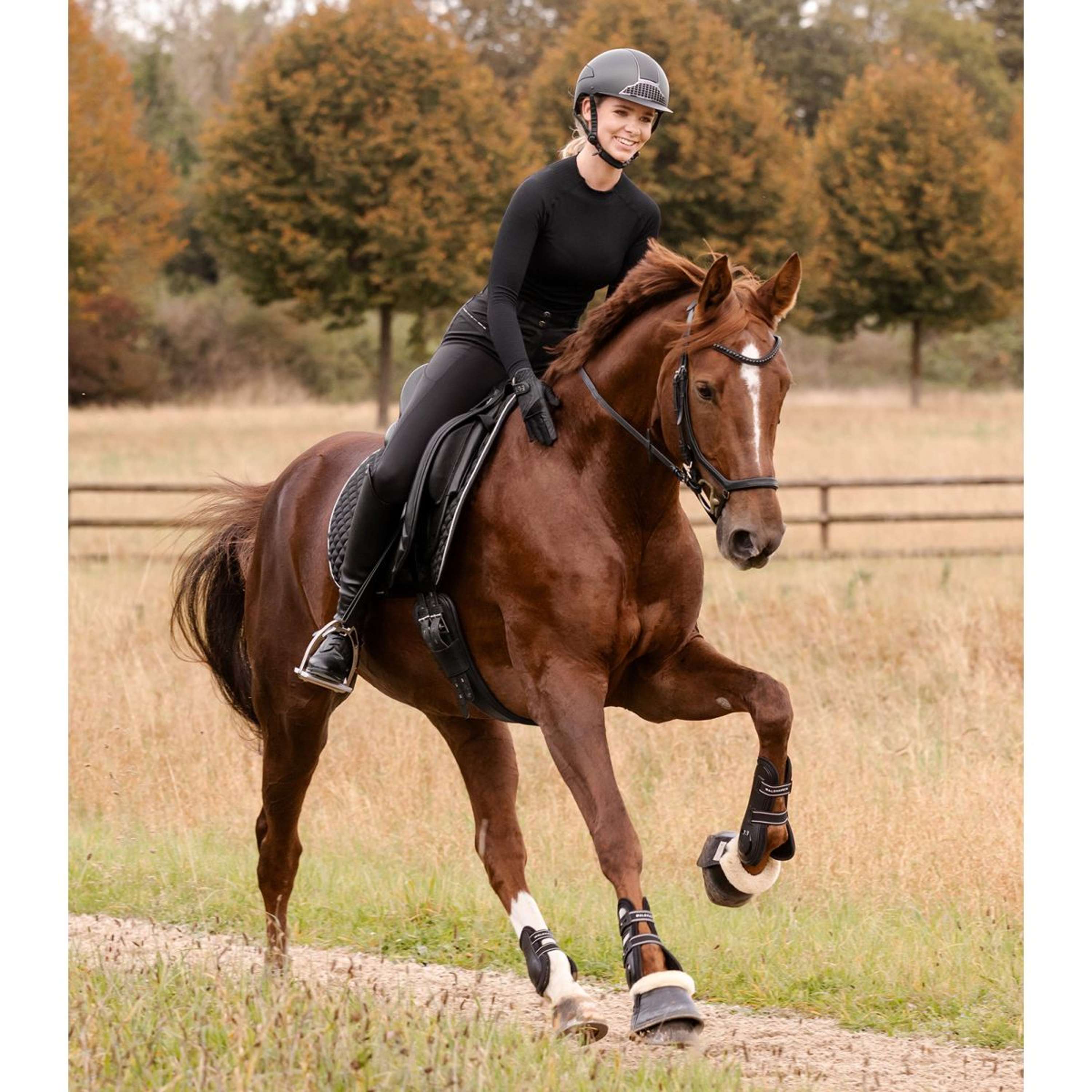Waldhausen Tapis de Selle Felix Glam Dressage Noir