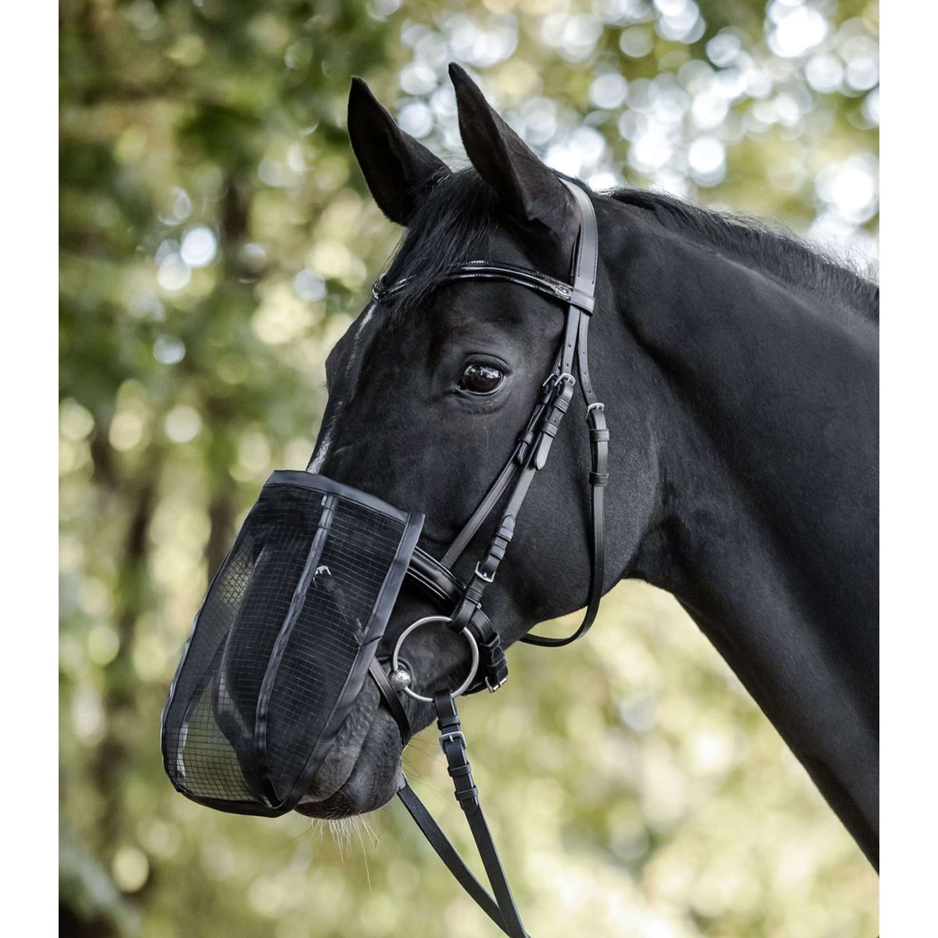 Waldhausen Filet pour Naseaux Noir