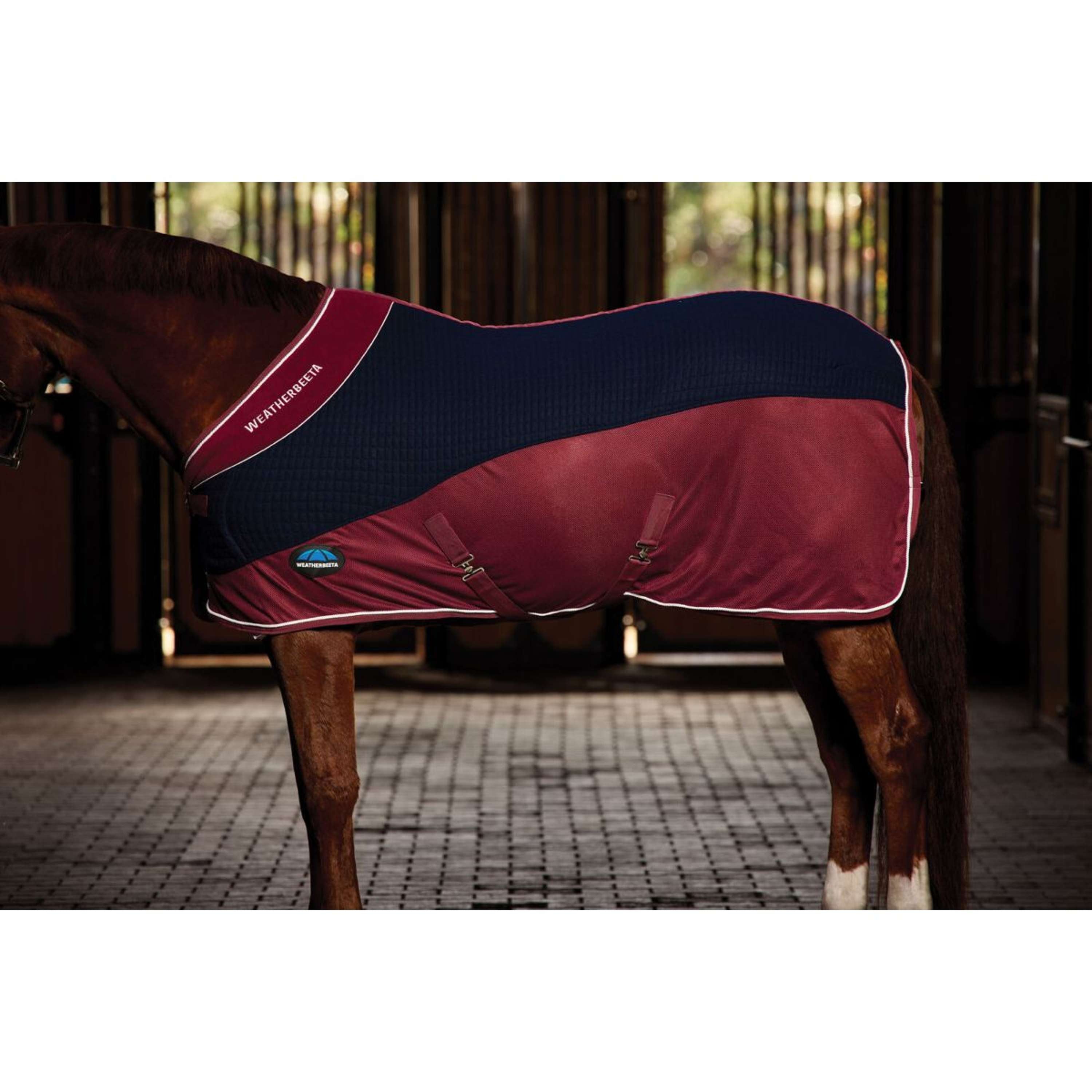 WeatherBeeta Couverture Polaire Thermo-Air Standard Neck Marine/Bordeaux