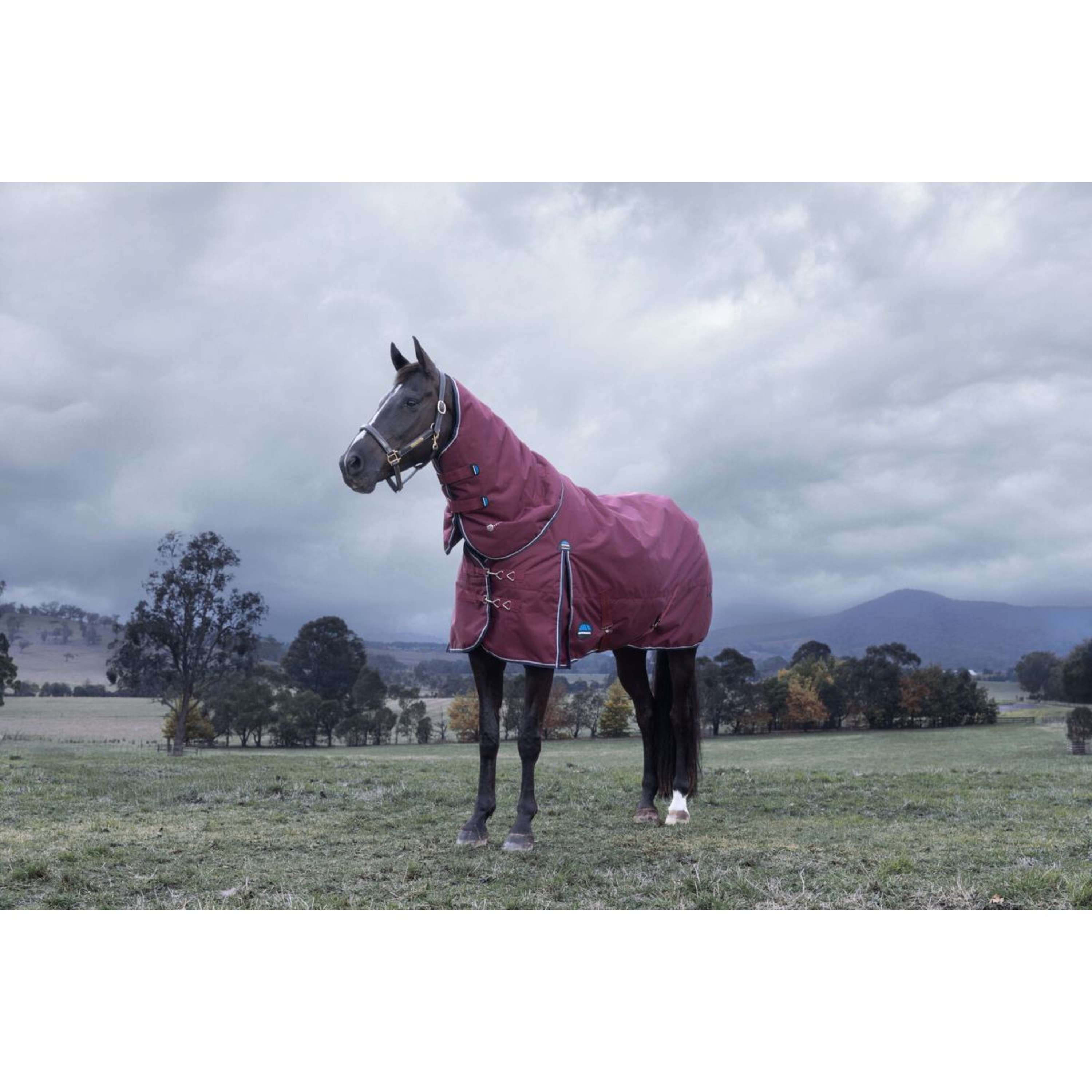 WeatherBeeta ComFiTec Essential Turnout Detach-A-Neck 220g Bourgogne/Marine