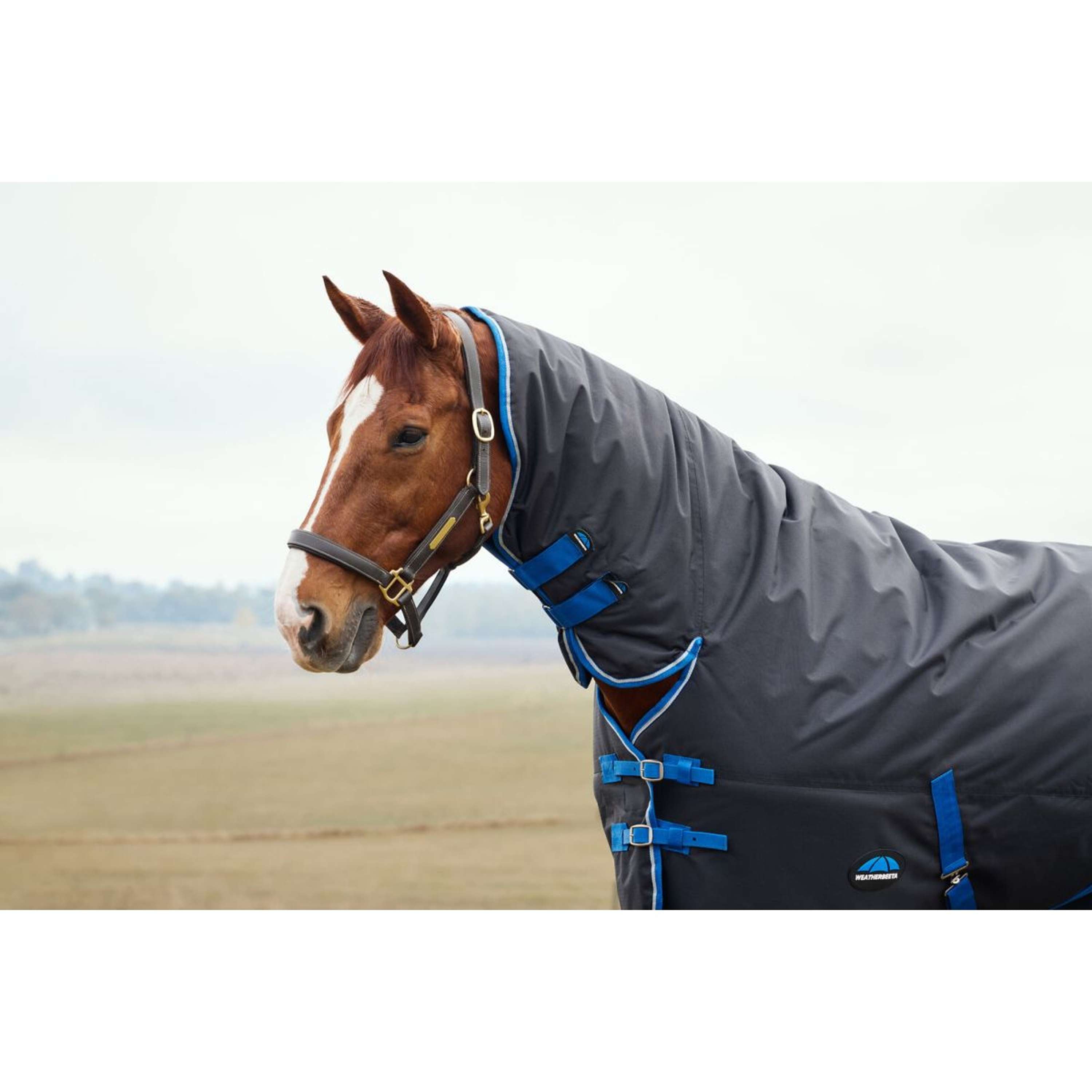 WeatherBeeta ComFiTec Tyro Turnout Combo Neck 220g Noir/Cobalt