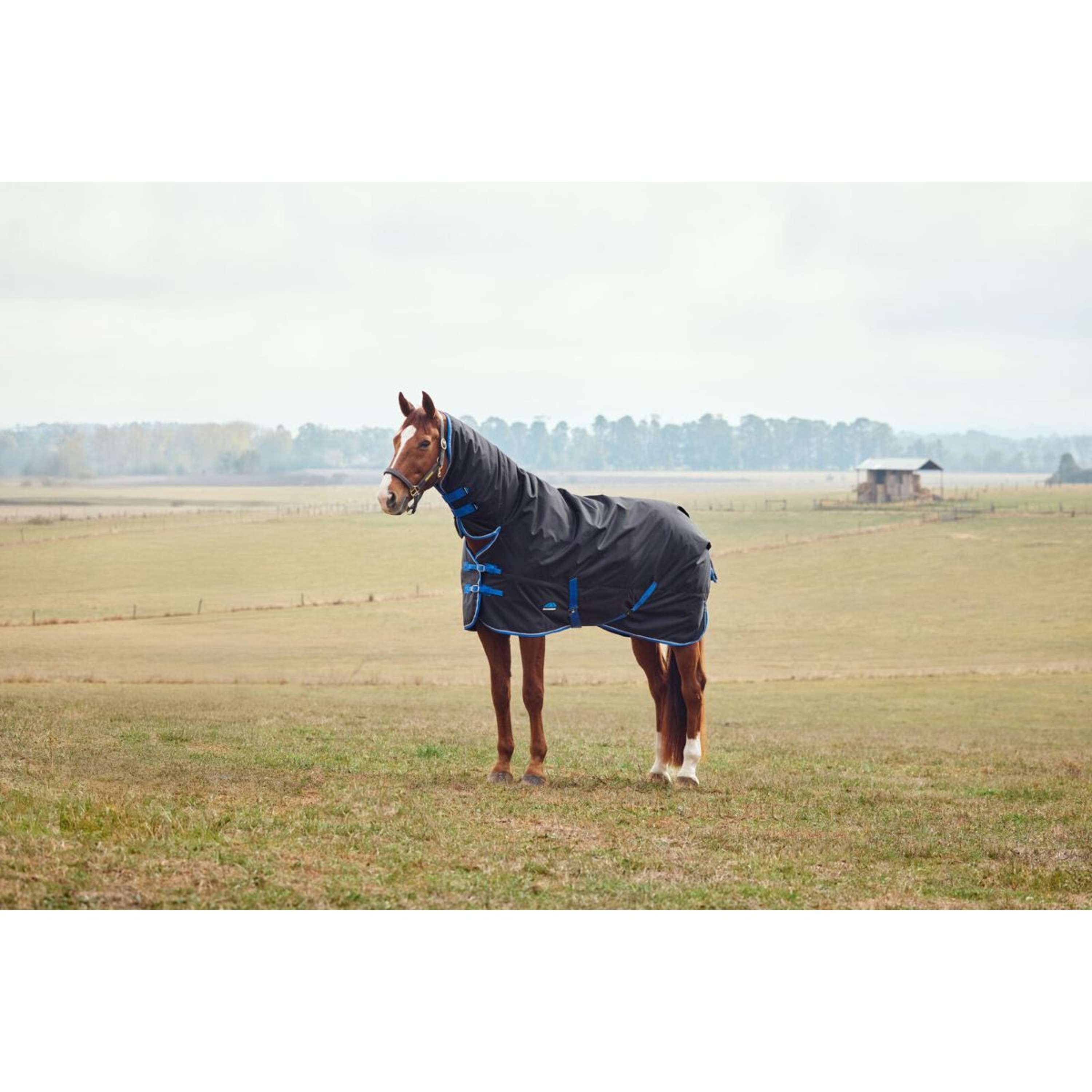 WeatherBeeta ComFiTec Tyro Turnout Combo Neck 220g Noir/Cobalt