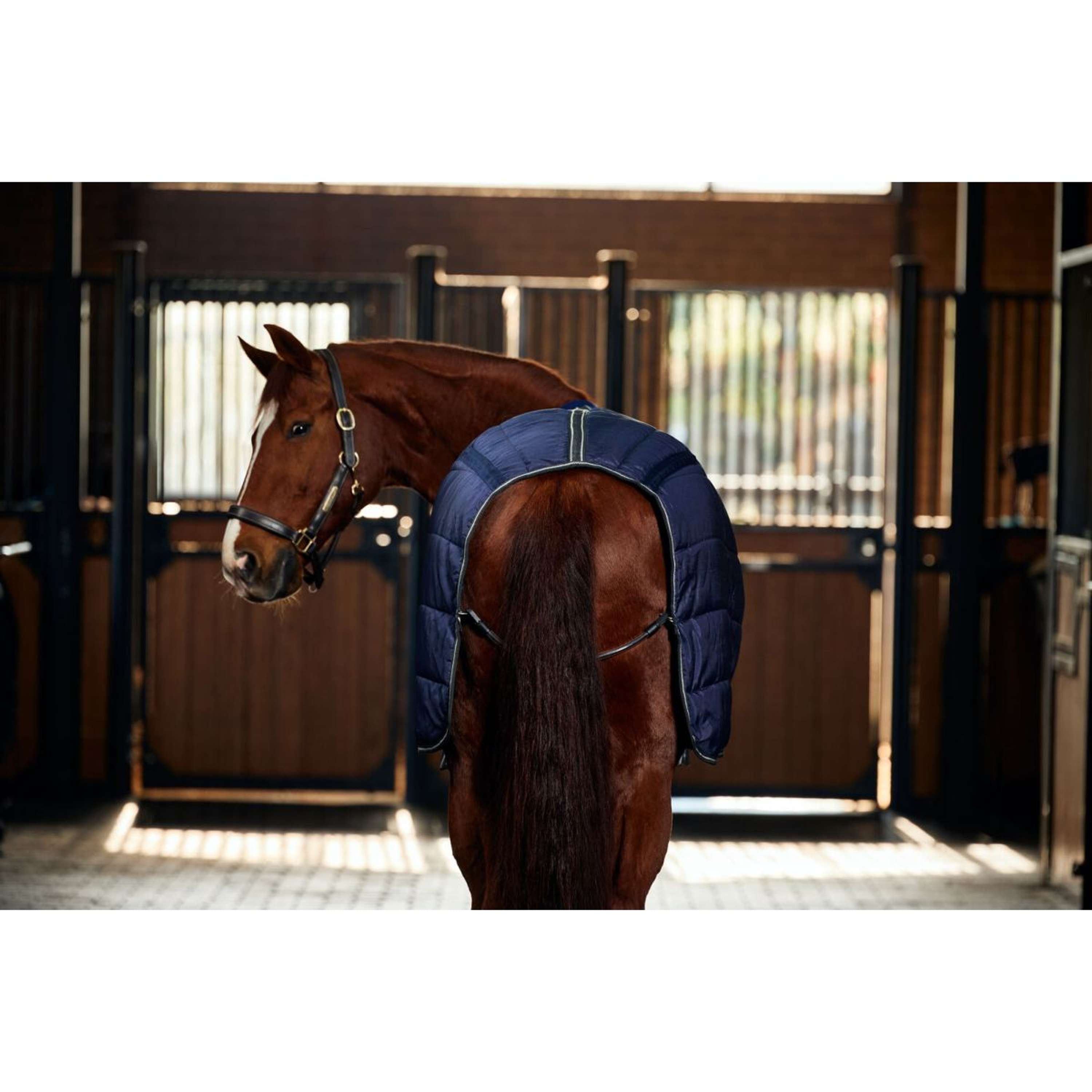 WeatherBeeta Couverture d'Écurie ComFiTec PP Channel Quilt Detach-A-Neck 220g Navy/Charcoal