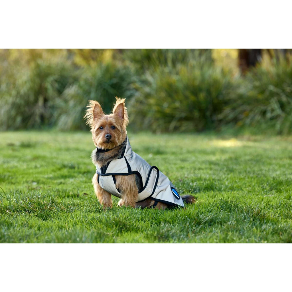 WeatherBeeta Couverture pour Chien ComFiTec Reflective Showerproof Argent