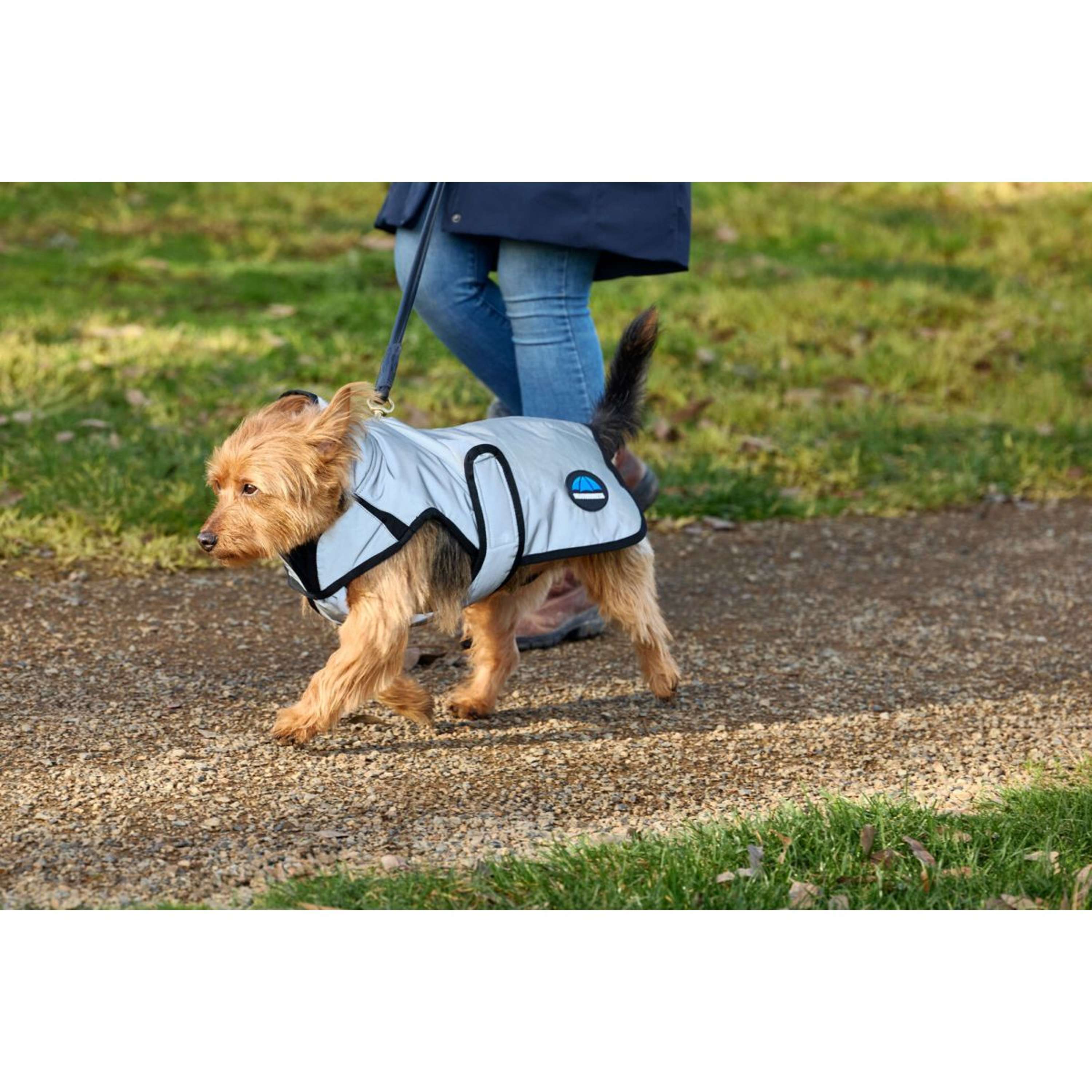 WeatherBeeta Couverture pour Chien ComFiTec Reflective Showerproof Argent
