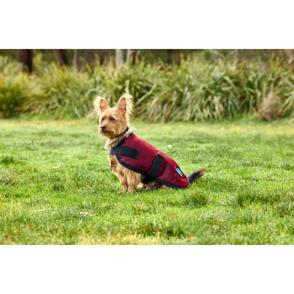 WeatherBeeta Couverture pour Chien ComFiTec Classic Waterproof Bordeaux
