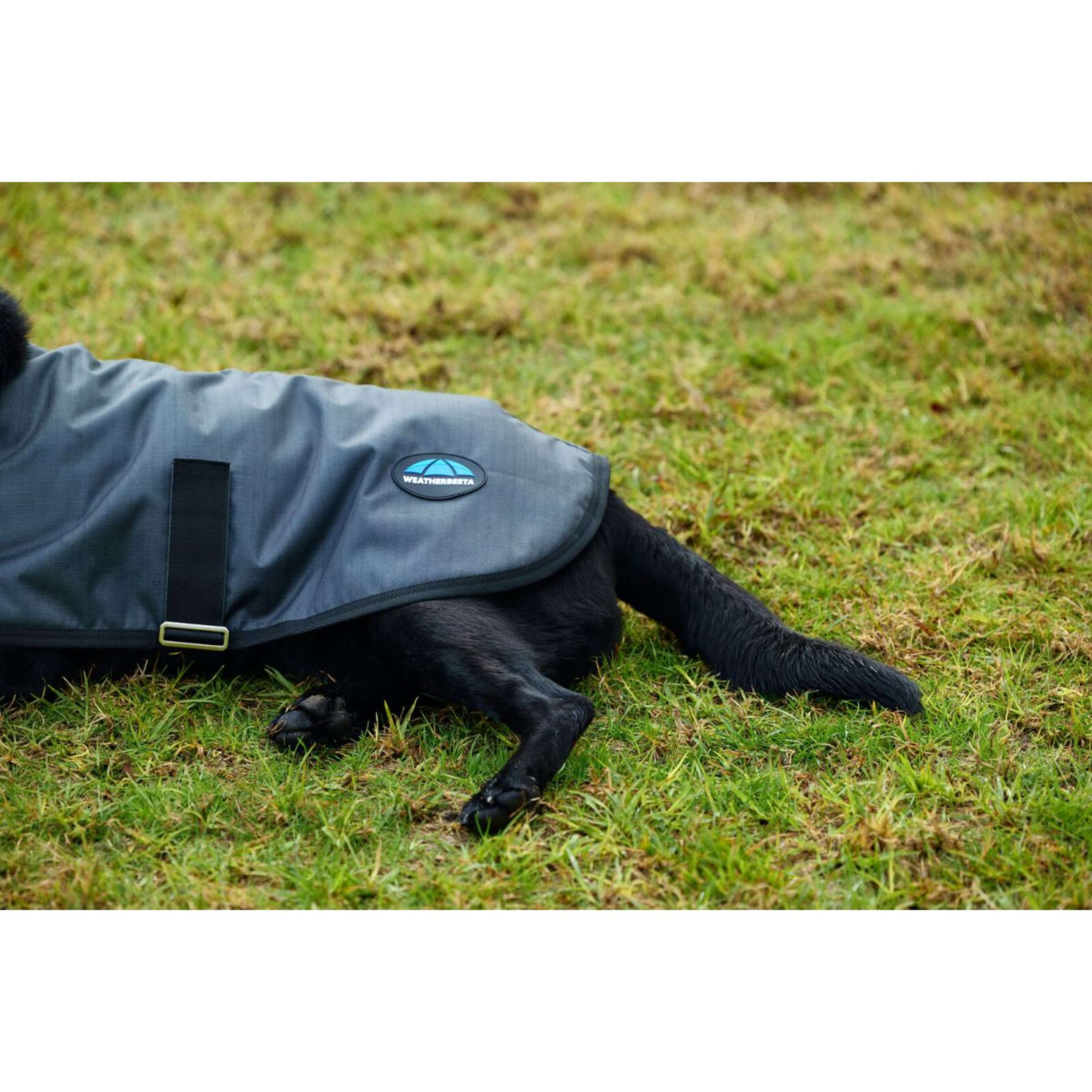 WeatherBeeta Couverture pour Chien ComFiTec Classic Waterproof Charbon