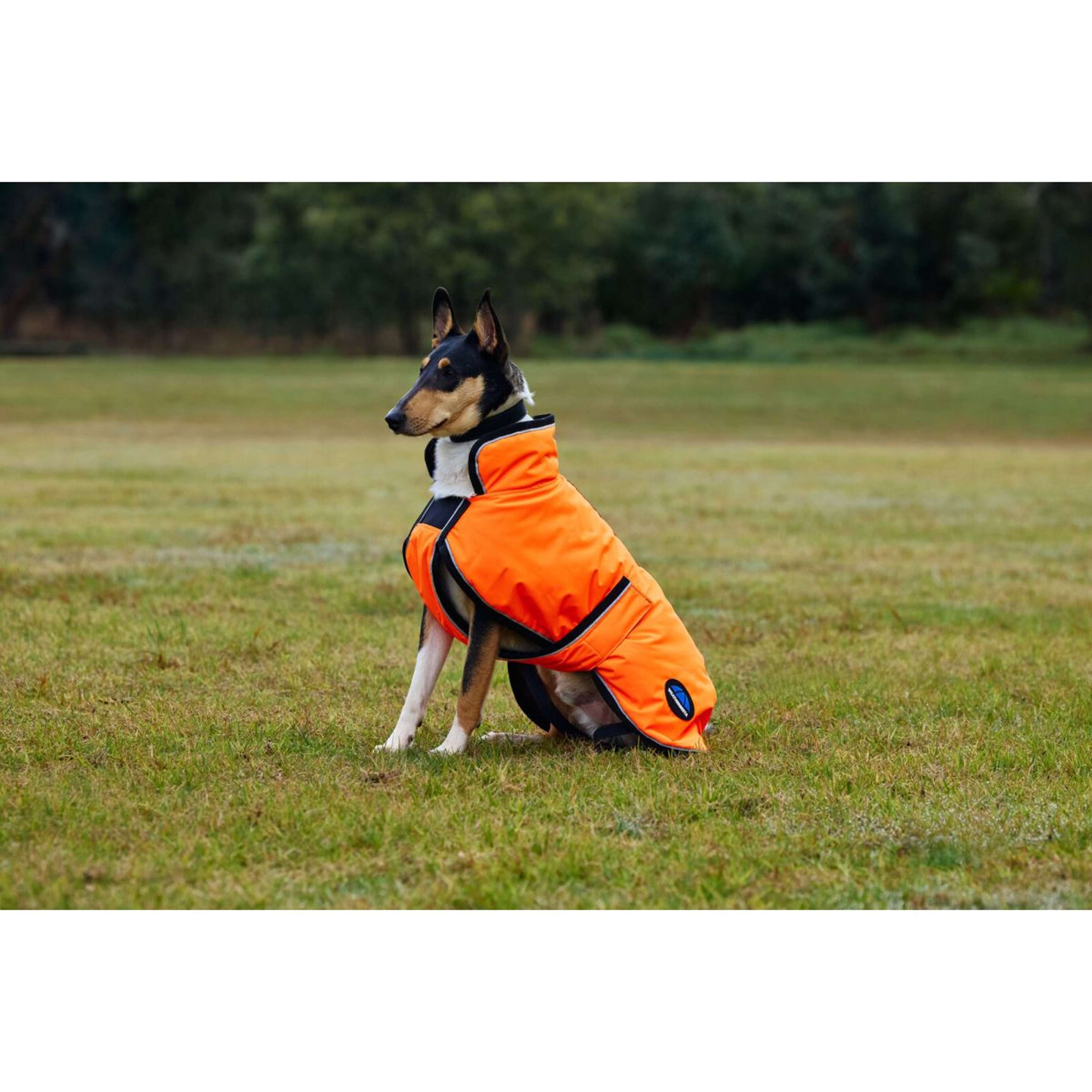 WeatherBeeta Couverture pour Chien ComFiTec Reflective 300D Deluxe Showerproof Orange