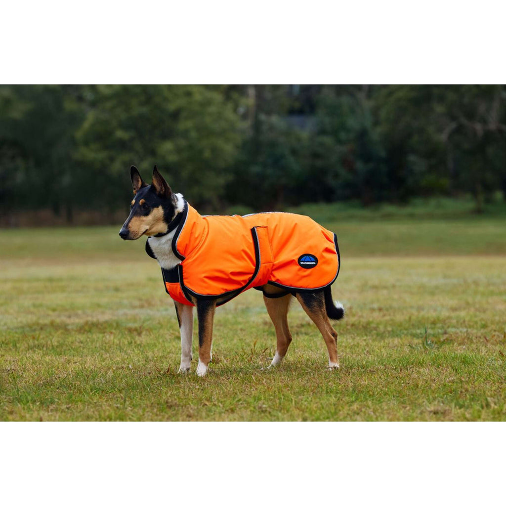 WeatherBeeta Couverture pour Chien ComFiTec Reflective 300D Deluxe Showerproof Orange