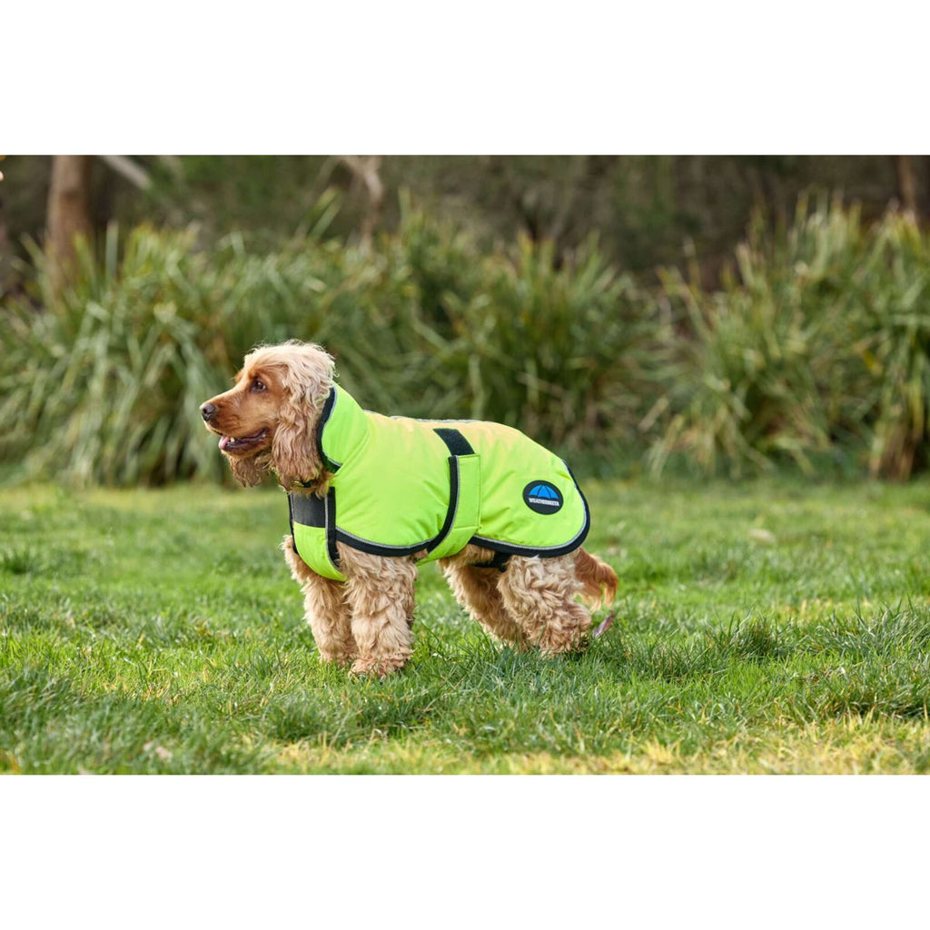 WeatherBeeta Couverture pour Chien ComFiTec Reflective 300D Deluxe Showerproof Jaune