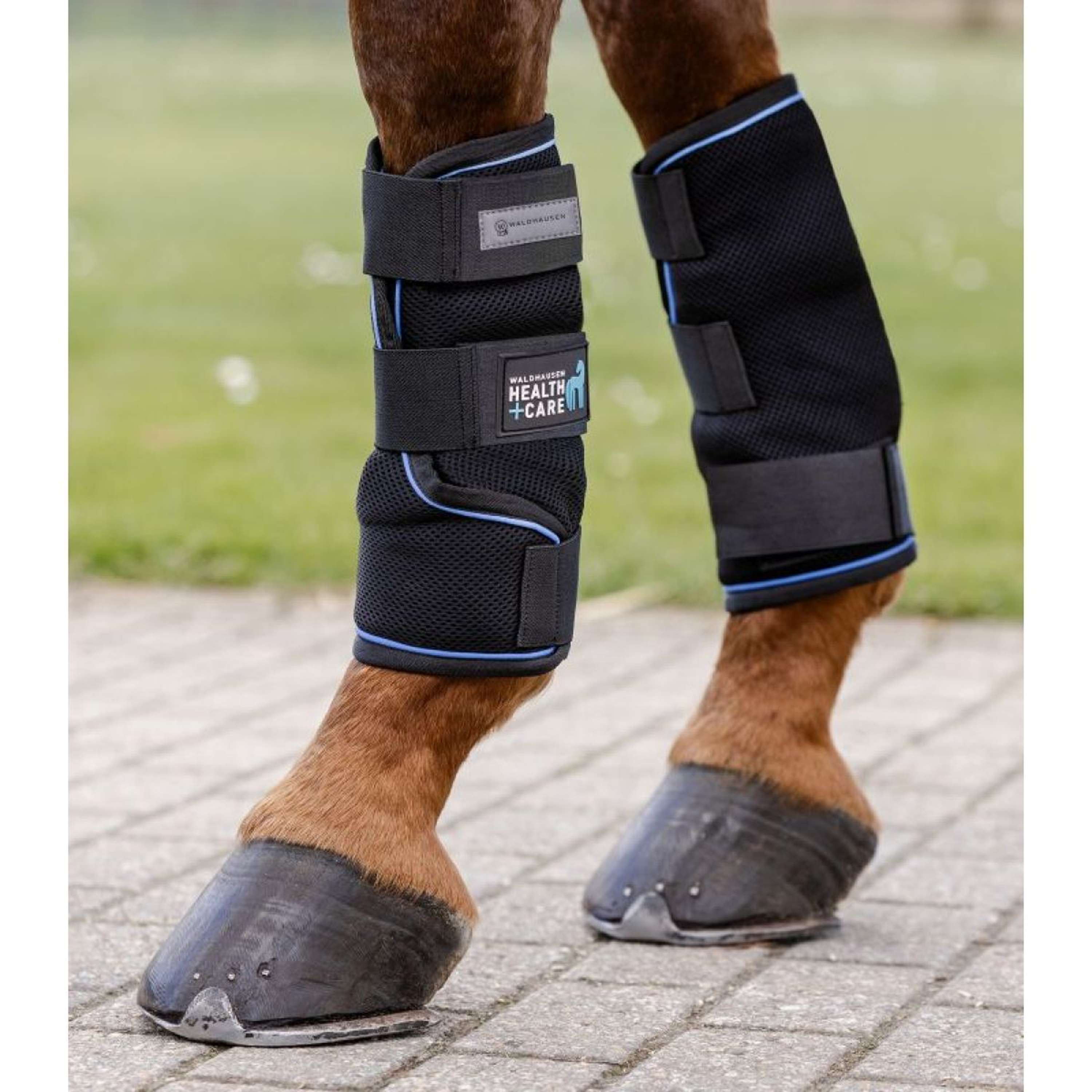 Waldhausen Health + Care Ice Boots Noir