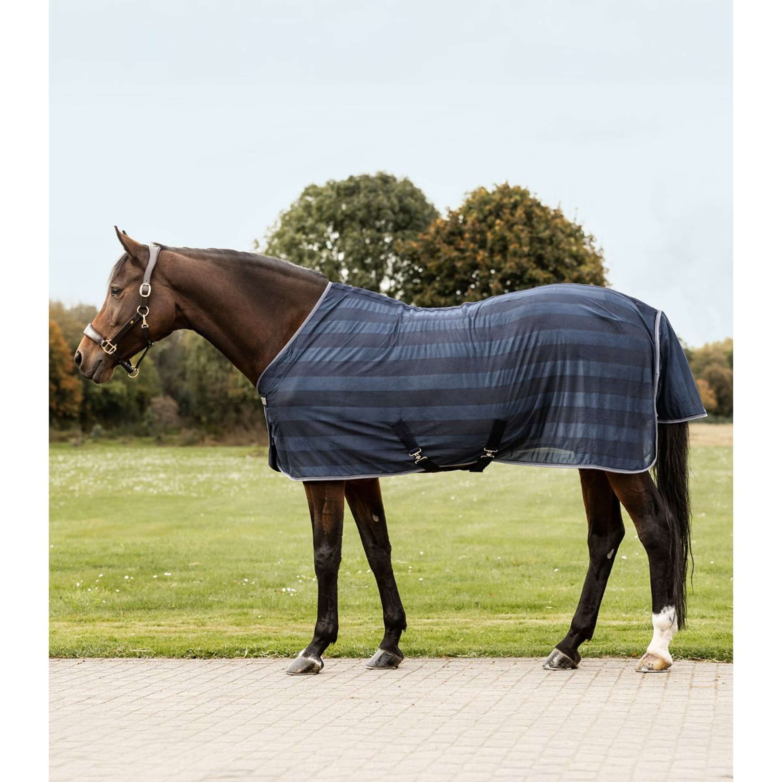 Waldhausen Couverture Anti-Mouches Economic 2.0 Bleu Nuit