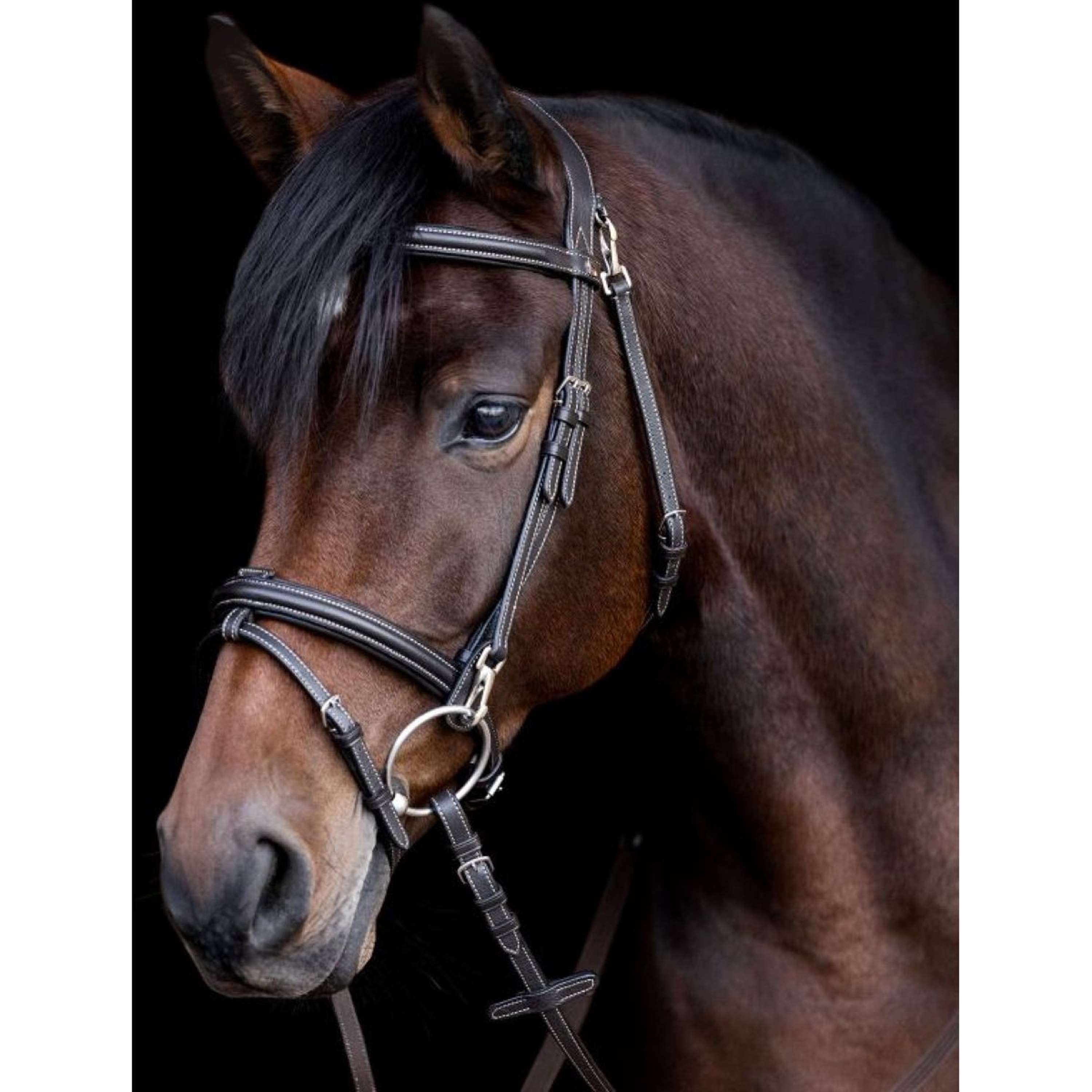 Waldhausen Bride X-Line Work Marron