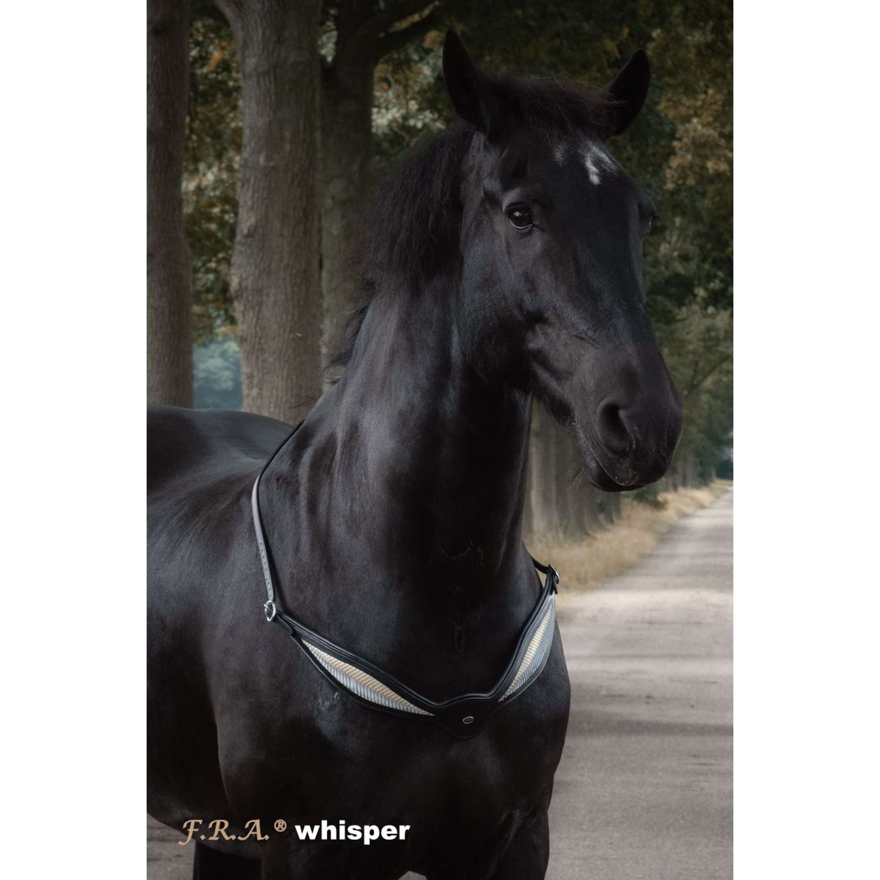 F.R.A. Rêne D'équilibre Whisper Noir